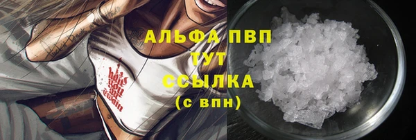 МДПВ Новозыбков