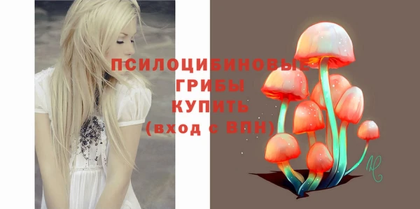 дживик Нязепетровск