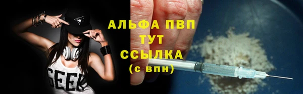 эйфоретик Осинники