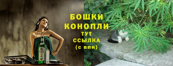 дживик Нязепетровск