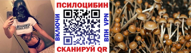 MEGA зеркало  Кемь  Галлюциногенные грибы ЛСД 